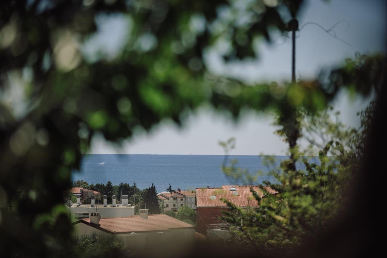 Belvedere Holidays Novigrad Istria Exteriör bild